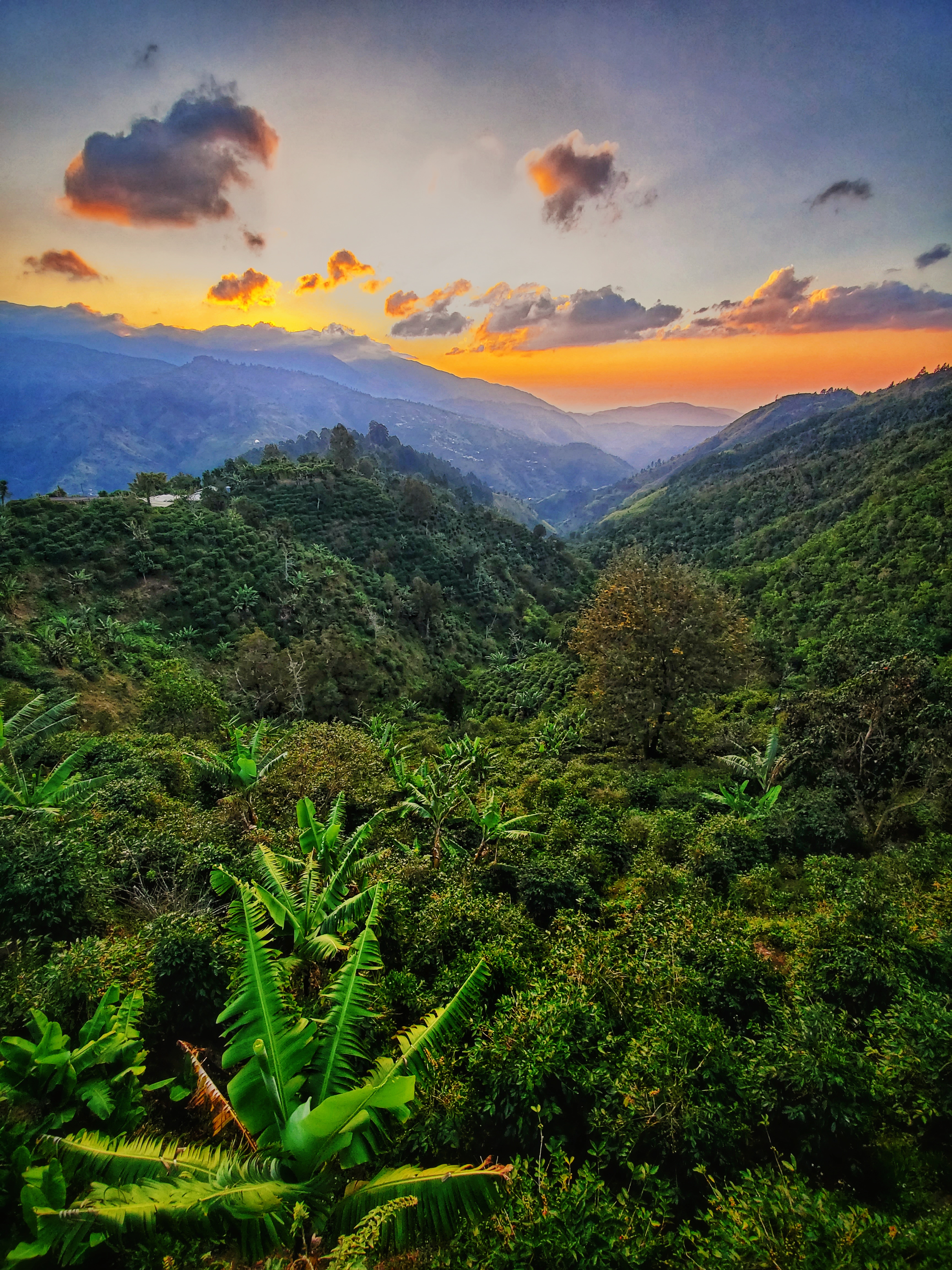 Colombia Sunrise